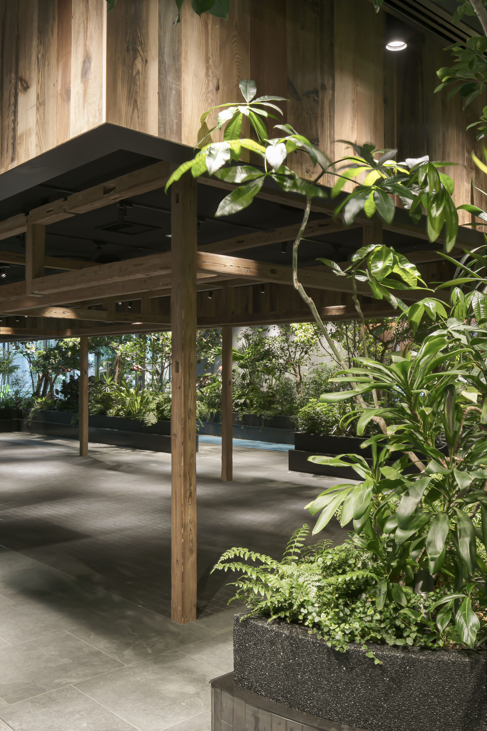 高輪ゲートウェイ【NEWoMan高輪】庭園エリア/...