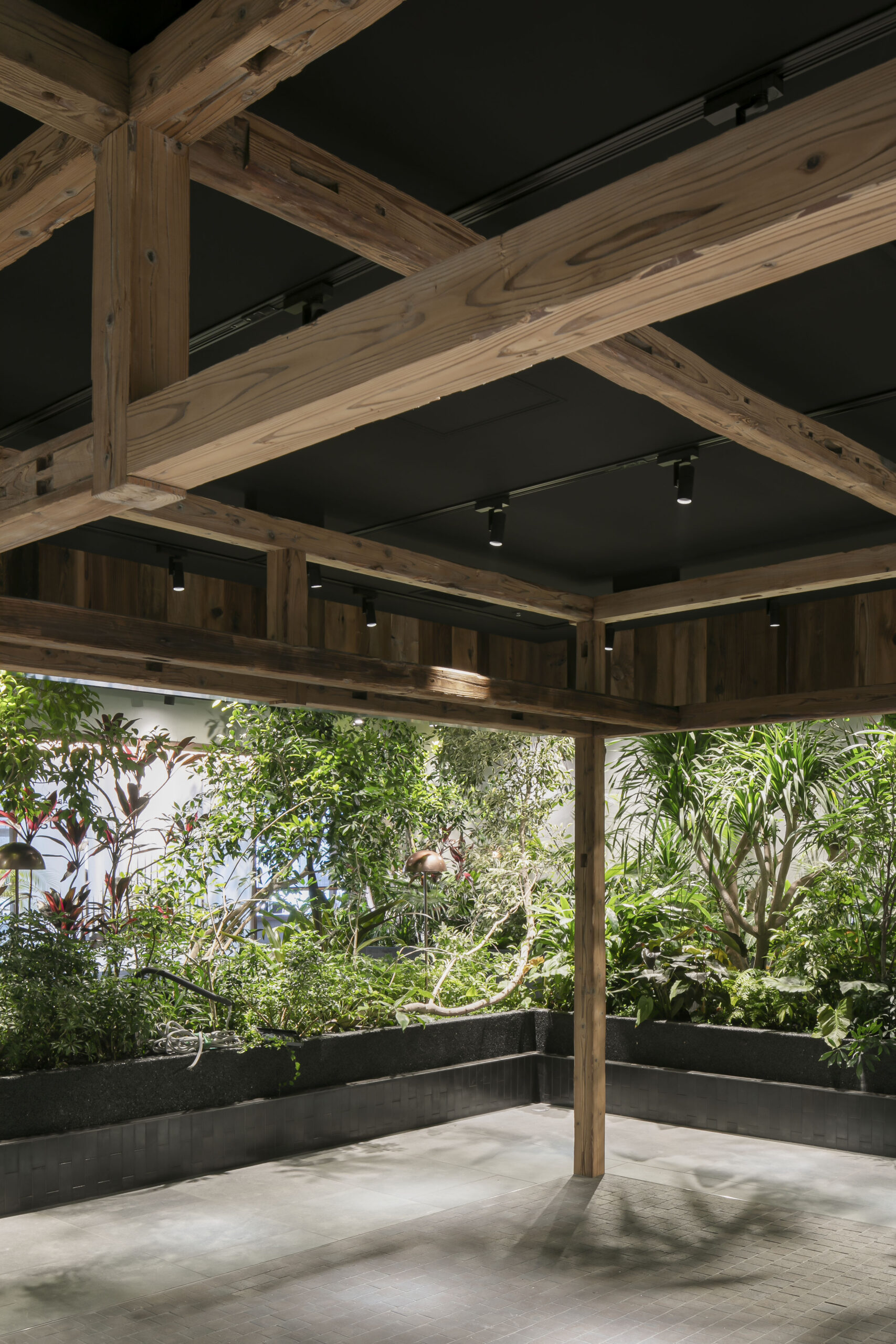 高輪ゲートウェイ【NEWoMan高輪】庭園エリア/...