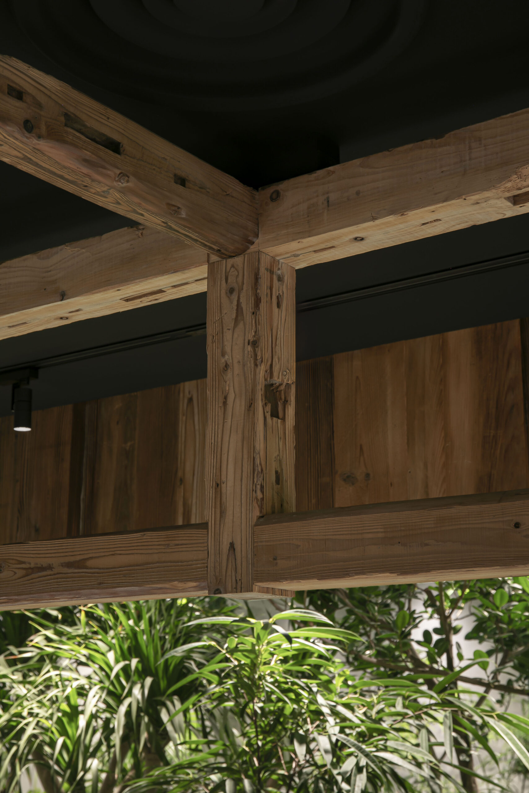 高輪ゲートウェイ【NEWoMan高輪】庭園エリア/...