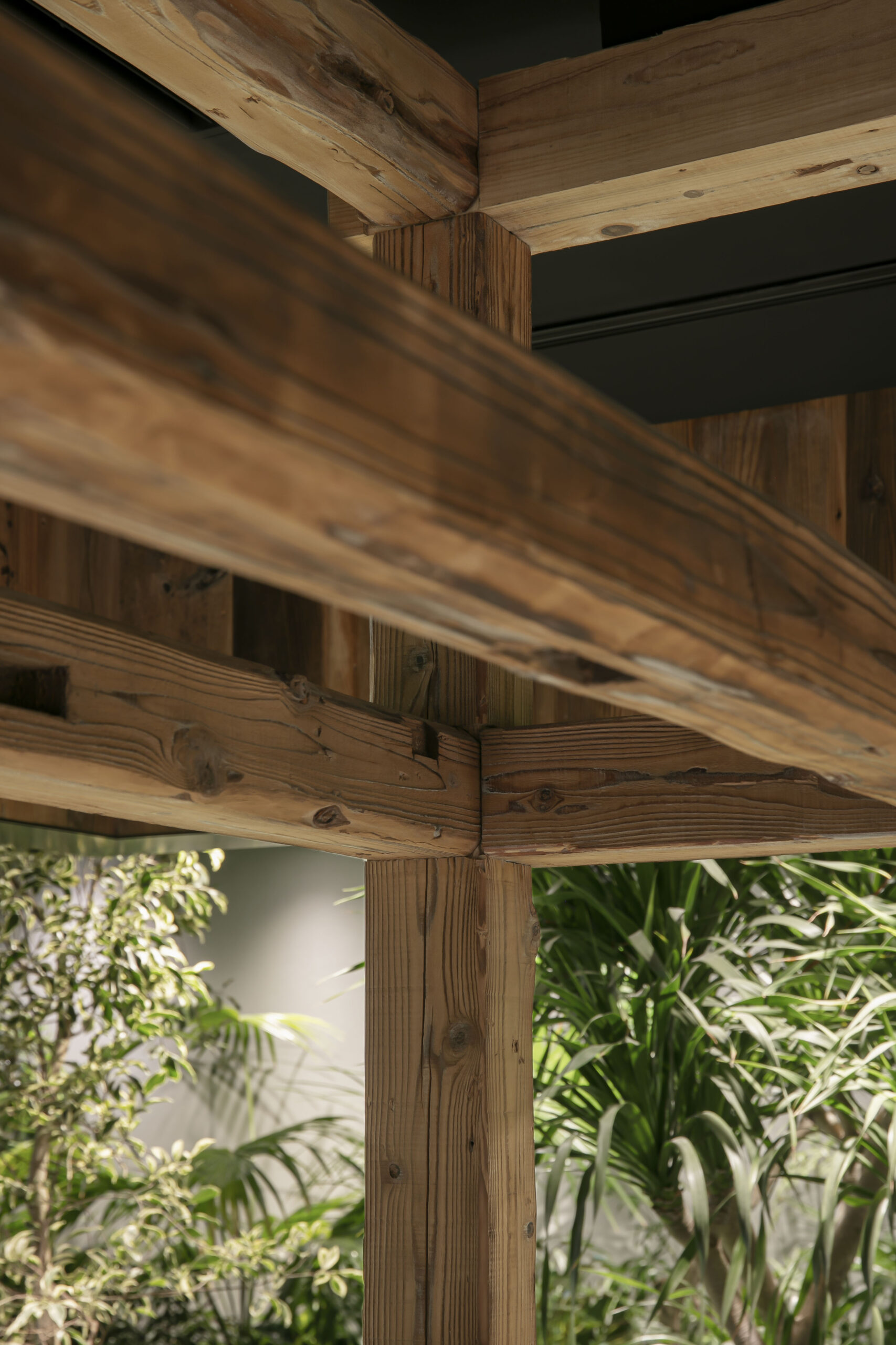 高輪ゲートウェイ【NEWoMan高輪】庭園エリア/...